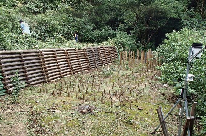 O%Dウッドの耐久性を確かめる屋外試験場