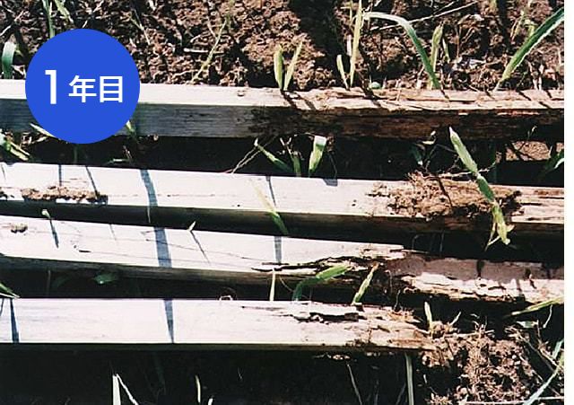 1年目で木材被害にあってボロボロになった木材写真