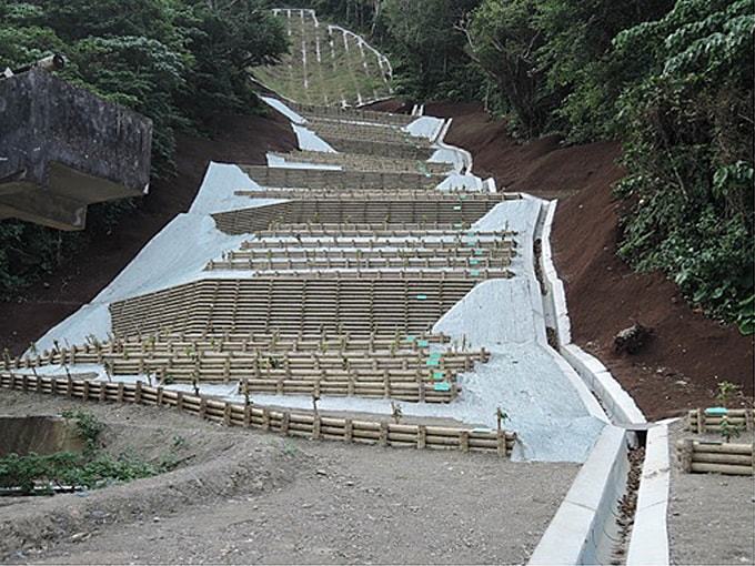 世富慶:平成28年:沖縄県北部農林振興水産センター