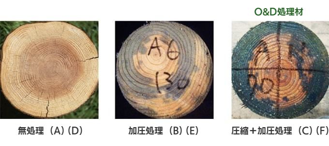 耐久性試験に使う、無処理材、加圧処理木材、圧縮+加圧処理木材の写真