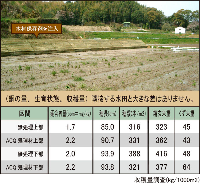 O&Dウッド構造物を設置した後の水稲への影響質調査のグラフ