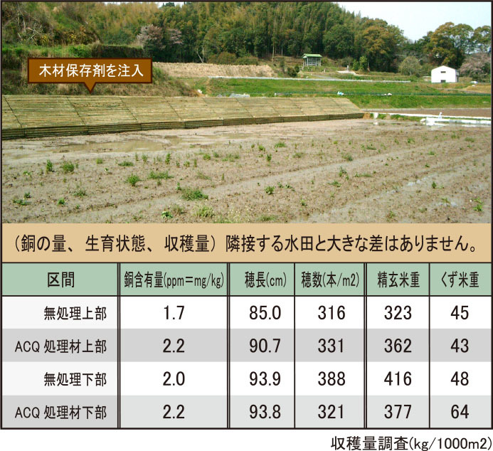 Ｏ＆Ｄウッド構造物を設置した後の水稲への影響質調査のグラフ